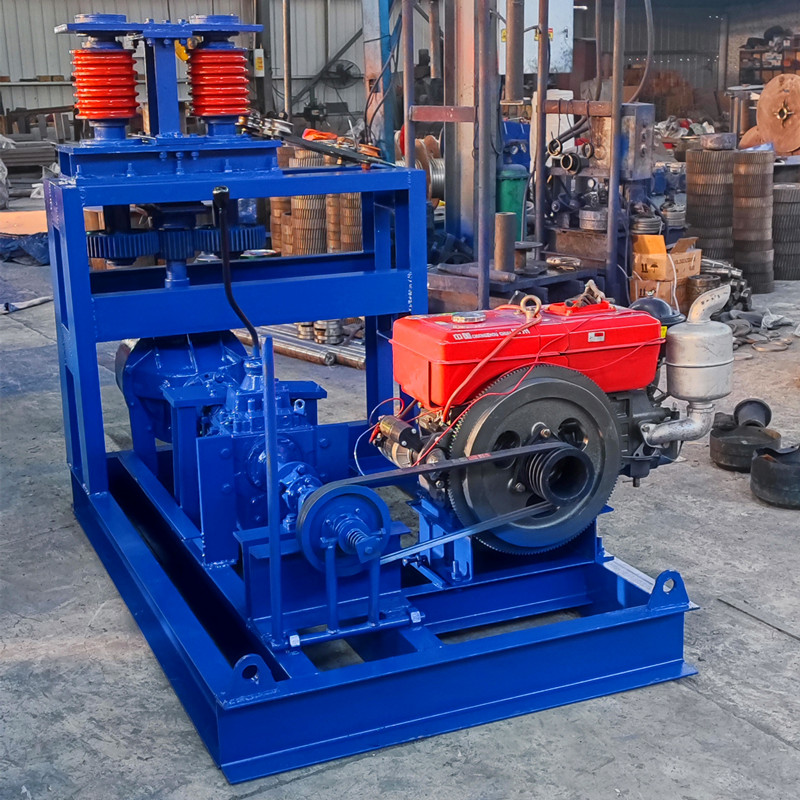 Vertical circulating hoist suspension crane
